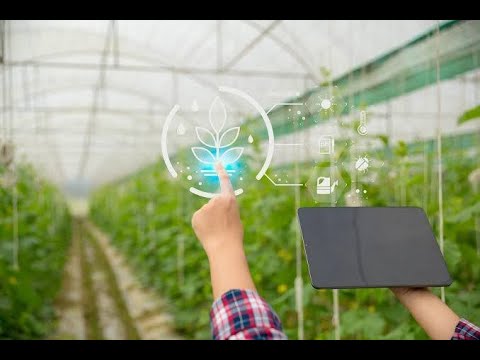 The Future of Agriculture with Smart Farming Solutions